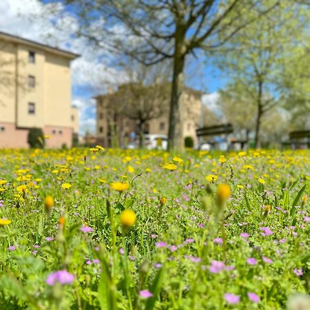 Nel Cuore Della Natura - Parcheggio Gratuito - Wi-Fi Apartamento Mezzolara Exterior foto