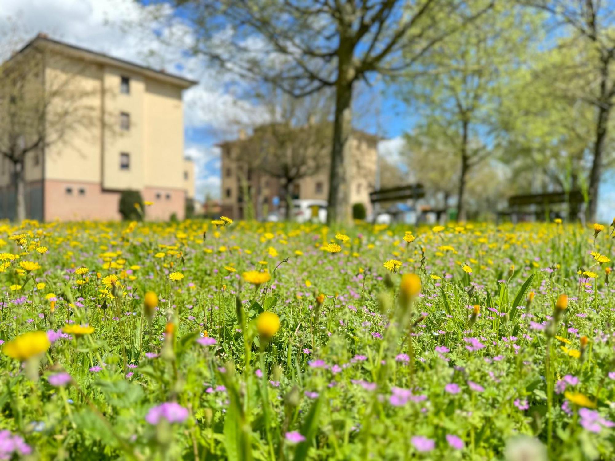 Nel Cuore Della Natura - Parcheggio Gratuito - Wi-Fi Apartamento Mezzolara Exterior foto