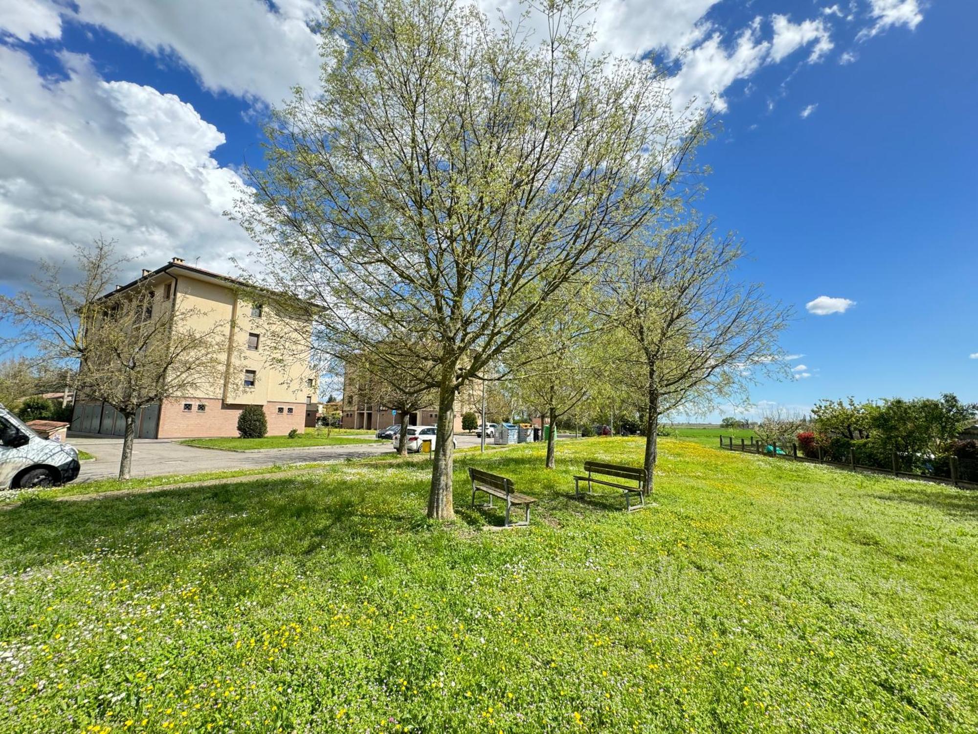 Nel Cuore Della Natura - Parcheggio Gratuito - Wi-Fi Apartamento Mezzolara Exterior foto