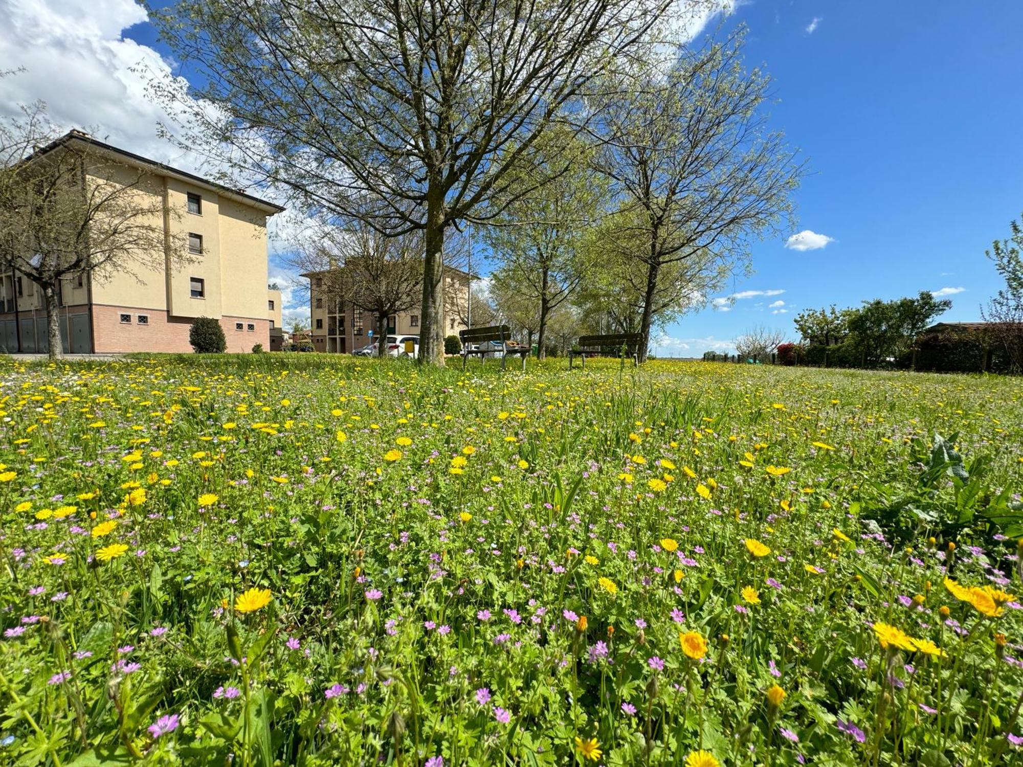 Nel Cuore Della Natura - Parcheggio Gratuito - Wi-Fi Apartamento Mezzolara Exterior foto